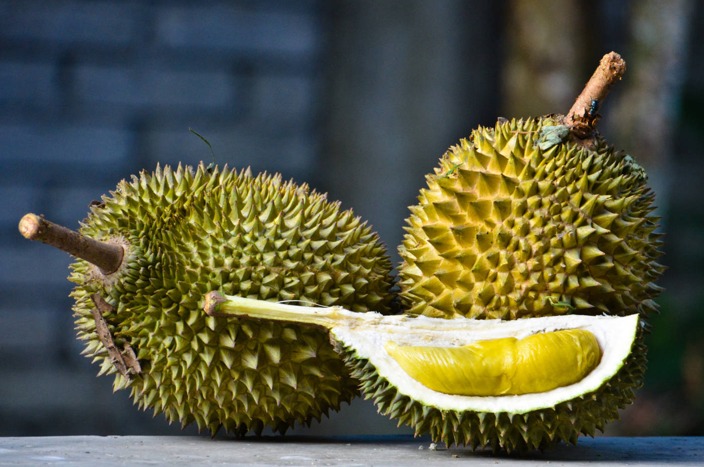 Musang King Durian Musang King Durian